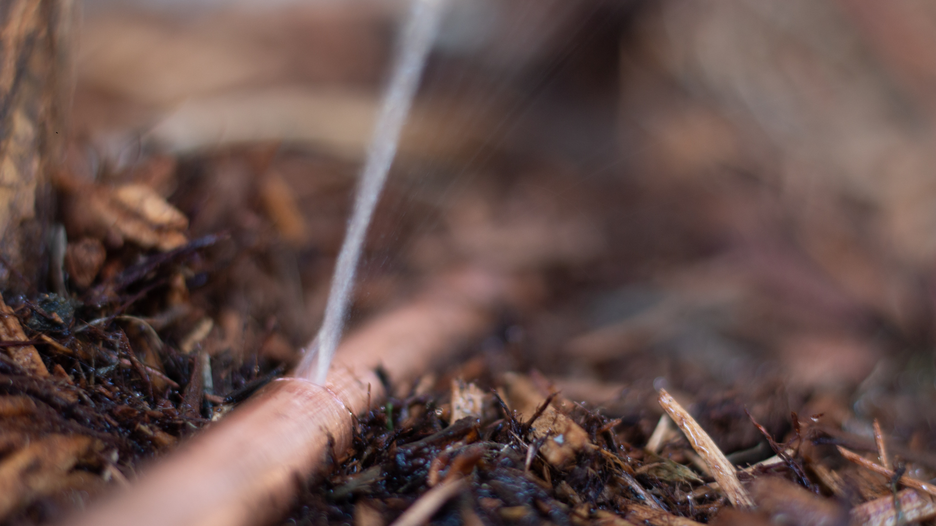 How an undetected water leak can cost you thousands